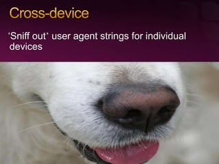 Using Microsoft Silverlight for Creating Rich Mobile User Experiences
