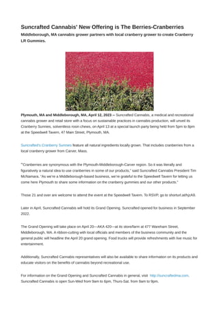 Suncrafted Cannabis' New Offering is The Berries-Cranberries
Middleborough, MA cannabis grower partners with local cranberry grower to create Cranberry
LR Gummies.
Plymouth, MA and Middleborough, MA, April 12, 2023 -- Suncrafted Cannabis, a medical and recreational
cannabis grower and retail store with a focus on sustainable practices in cannabis production, will unveil its
Cranberry Sunnies, solventless rosin chews, on April 13 at a special launch party being held from 5pm to 8pm
at the Speedwell Tavern, 47 Main Street, Plymouth, MA.
Suncrafted’s Cranberry Sunnies feature all natural ingredients locally grown. That includes cranberries from a
local cranberry grower from Carver, Mass.
“Cranberries are synonymous with the Plymouth-Middleborough-Carver region. So it was literally and
figuratively a natural idea to use cranberries in some of our products,” said Suncrafted Cannabis President Tim
McNamara. “As we’re a Middleborough-based business, we’re grateful to the Speedwell Tavern for letting us
come here Plymouth to share some information on the cranberry gummies and our other products.”
Those 21 and over are welcome to attend the event at the Speedwell Tavern. To RSVP, go to shorturl.at/hjzA9.
Later in April, Suncrafted Cannabis will hold its Grand Opening. Suncrafted opened for business in September
2022.
The Grand Opening will take place on April 20—AKA 420—at its store/farm at 477 Wareham Street,
Middleborough, MA. A ribbon-cutting with local officials and members of the business community and the
general public will headline the April 20 grand opening. Food trucks will provide refreshments with live music for
entertainment.
Additionally, Suncrafted Cannabis representatives will also be available to share information on its products and
educate visitors on the benefits of cannabis beyond recreational use.
For information on the Grand Opening and Suncrafted Cannabis in general, visit http://suncraftedma.com.
Suncrafted Cannabis is open Sun-Wed from 9am to 6pm, Thurs-Sat. from 9am to 9pm.
 