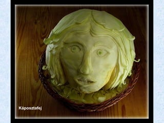Káposztafej 
