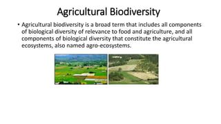 basic presentation on agricultural biodiversity | PPTX