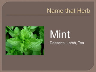 Mint
Desserts, Lamb, Tea
 