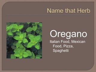 Oregano
Italian Food, Mexican
Food, Pizza,
Spaghetti
 