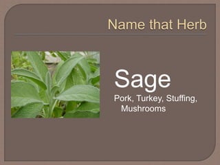 Sage
Pork, Turkey, Stuffing,
Mushrooms
 