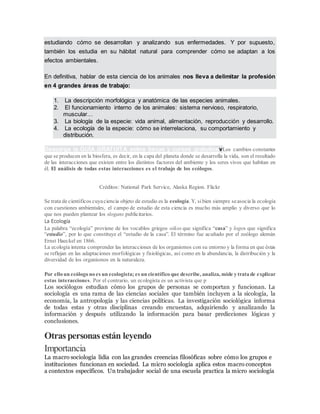 estudiando cómo se desarrollan y analizando sus enfermedades. Y por supuesto,
también los estudia en su hábitat natural para comprender cómo se adaptan a los
efectos ambientales.
En definitiva, hablar de esta ciencia de los animales nos lleva a delimitar la profesión
en 4 grandes áreas de trabajo:
1. La descripción morfológica y anatómica de las especies animales.
2. El funcionamiento interno de los animales: sistema nervioso, respiratorio,
muscular…
3. La biología de la especie: vida animal, alimentación, reproducción y desarrollo.
4. La ecología de la especie: cómo se interrelaciona, su comportamiento y
distribución.
Descarga la GUÍA GRATUITA sobre becas y cursos gratuitosvLos cambios constantes
que se producen en la biosfera, es decir, en la capa del planeta donde se desarrolla la vida, son el resultado
de las interacciones que existen entre los distintos factores del ambiente y los seres vivos que habitan en
él. El análisis de todas estas interacciones es el trabajo de los ecólogos.
Créditos: National Park Service, Alaska Region. Flickr
Se trata de científicos cuyaciencia objeto de estudio es la ecología. Y, sibien siempre seasocia la ecología
con cuestiones ambientales, el campo de estudio de esta ciencia es mucho más amplio y diverso que lo
que nos pueden plantear los slogans publicitarios.
La Ecología
La palabra “ecología” proviene de los vocablos griegos oikos que significa “casa” y logos que significa
“estudio”, por lo que constituye el “estudio de la casa”. El término fue acuñado por el zoólogo alemán
Ernst Haeckel en 1866.
La ecología intenta comprender las interacciones de los organismos con su entorno y la forma en que éstas
se reflejan en las adaptaciones morfológicas y fisiológicas, así como en la abundancia, la distribución y la
diversidad de los organismos en la naturaleza.
Por elloun ecólogonoes un ecologista; es un científico que describe, analiza, mide ytratade explicar
estas interacciones. Por el contrario, un ecologista es un activista que p
Los sociólogos estudian cómo los grupos de personas se comportan y funcionan. La
sociología es una rama de las ciencias sociales que también incluyen a la sicología, la
economía, la antropología y las ciencias políticas. La investigación sociológica informa
de todas estas y otras disciplinas creando encuestas, adquiriendo y analizando la
información y después utilizando la información para basar predicciones lógicas y
conclusiones.
Otras personas están leyendo
Importancia
La macro sociología lidia con las grandes creencias filosóficas sobre cómo los grupos e
instituciones funcionan en sociedad. La micro sociología aplica estos macro conceptos
a contextos específicos. Un trabajador social de una escuela practica la micro sociología
 