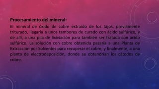 Procesamiento del mineral:
El mineral de óxido de cobre extraído de los tajos, previamente
triturado, llegaría a unos tambores de curado con ácido sulfúrico, y
de allí, a una pila de lixiviación para también ser tratada con ácido
sulfúrico. La solución con cobre obtenida pasaría a una Planta de
Extracción por Solventes para recuperar el cobre, y finalmente, a una
planta de electrodeposición, donde se obtendrían los cátodos de
cobre.
 