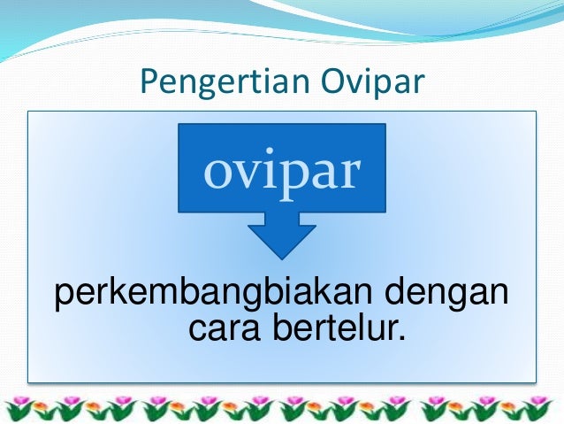 Reproduksi Hewan Reproduksi Hewan