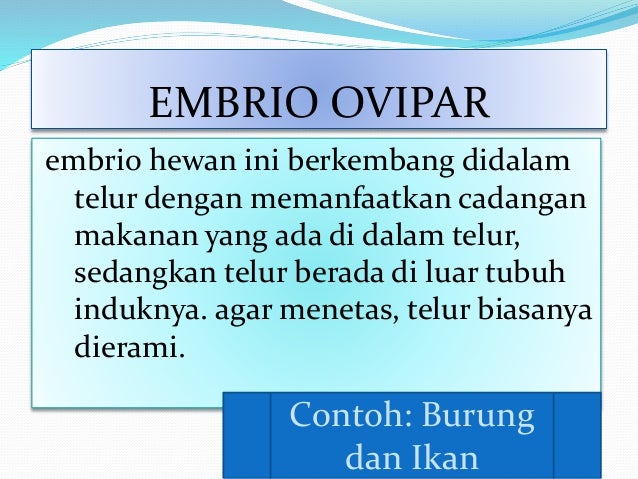 Reproduksi Hewan Reproduksi Hewan
