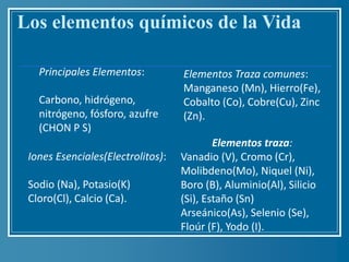 Introduccion a la Bioquimica | PPTX