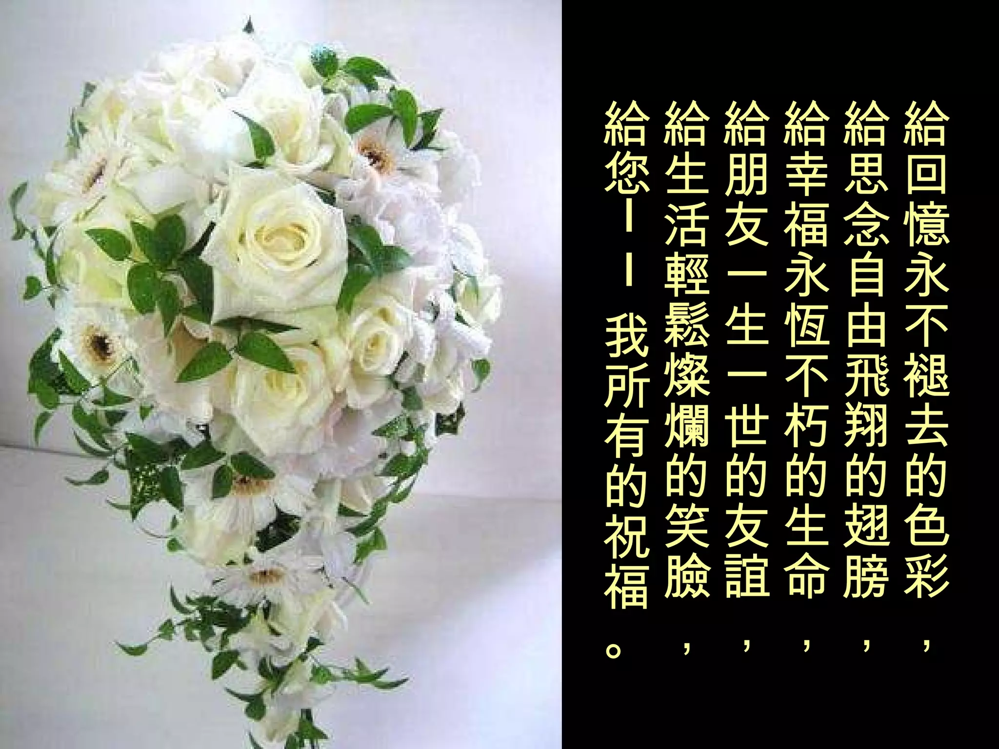 給回憶永不褪去的色彩， 給思念自由飛翔的翅膀， 給幸福永恆不朽的生命， 給朋友一生一世的友誼， 給生活輕鬆燦爛的笑臉， 給您——我所有的祝福。 