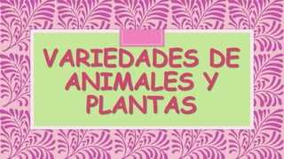 VARIEDADES DE
ANIMALES Y
PLANTAS

 