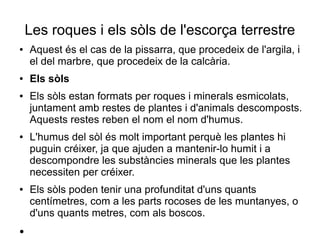 Les roques i els sòls de l'escorça terrestre 
● Aquest és el cas de la pissarra, que procedeix de l'argila, i 
el del marbre, que procedeix de la calcària. 
● Els sòls 
● Els sòls estan formats per roques i minerals esmicolats, 
juntament amb restes de plantes i d'animals descomposts. 
Aquests restes reben el nom el nom d'humus. 
● L'humus del sòl és molt important perquè les plantes hi 
puguin créixer, ja que ajuden a mantenir-lo humit i a 
descompondre les substàncies minerals que les plantes 
necessiten per créixer. 
● Els sòls poden tenir una profunditat d'uns quants 
centímetres, com a les parts rocoses de les muntanyes, o 
d'uns quants metres, com als boscos. 
● 
 
