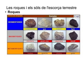 Les roques i els sòls de l'escorça terrestre 
● Roques 
 