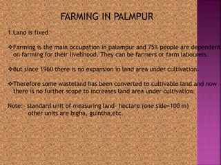 FARMING IN PALMPUR 
1.Land is fixed 
Farming is the main occupation in palampur and 75% people are dependent 
on farming for their livelihood. They can be farmers or farm labourers. 
But since 1960 there is no expansion in land area under cultivation. 
Therefore some wasteland has been converted to cultivable land and now 
there is no further scope to increases land area under cultivation. 
Note:- standard unit of measuring land- hectare (one side=100 m) 
other units are bigha, guintha,etc. 
 