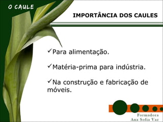 Para alimentação.
Matéria-prima para indústria.
Na construção e fabricação de
móveis.
IMPORTÂNCIA DOS CAULES
 