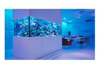 Predictive Site Survey
52
A Predictive Site Survey is not a Site Survey.
It’s a Design. But no On Site knowledge.
You can’t see interference
No problem area’s.
And can’t see "What’s there…"
 