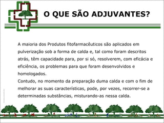 A maioria dos Produtos fitofarmacêuticos são aplicados em
pulverização sob a forma de calda e, tal como foram descritos
atrás, têm capacidade para, por si só, resolverem, com eficácia e
eficiência, os problemas para que foram desenvolvidos e
homologados.
Contudo, no momento da preparação duma calda e com o fim de
melhorar as suas características, pode, por vezes, recorrer-se a
determinadas substâncias, misturando-as nessa calda.
O QUE SÃO ADJUVANTES?
 