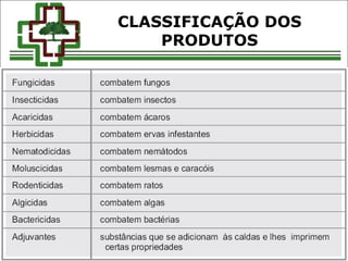 CLASSIFICAÇÃO DOS
PRODUTOS
 