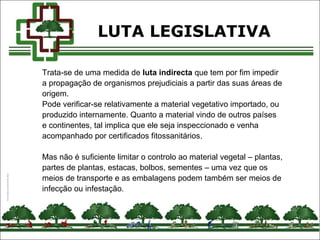 Trata-se de uma medida de luta indirecta que tem por fim impedir
a propagação de organismos prejudiciais a partir das suas áreas de
origem.
Pode verificar-se relativamente a material vegetativo importado, ou
produzido internamente. Quanto a material vindo de outros países
e continentes, tal implica que ele seja inspeccionado e venha
acompanhado por certificados fitossanitários.
Mas não é suficiente limitar o controlo ao material vegetal – plantas,
partes de plantas, estacas, bolbos, sementes – uma vez que os
meios de transporte e as embalagens podem também ser meios de
infecção ou infestação.
LUTA LEGISLATIVA
 