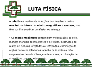 A luta física contempla as acções que envolvem meios
mecânicos, térmicos, electromagnéticos e sonoros, que
têm por fim erradicar ou afastar os inimigos.
• Os meios mecânicos contemplam mobilizações do solo,
mondas manuais de infestantes e de frutos, destruição de
restos de culturas infectadas ou infestadas, eliminação de
órgãos ou frutos infectados, apanha de insectos à mão,
alagamentos de solo e lavagem de árvores, a colocação de
armadilhas contra roedores, etc.
LUTA FÍSICA
 