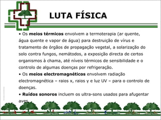 • Os meios térmicos envolvem a termoterapia (ar quente,
água quente e vapor de água) para destruição de vírus e
tratamento de órgãos de propagação vegetal, a solarização do
solo contra fungos, nemátodos, a exposição directa de certos
organismos à chama, até níveis térmicos de sensibilidade e o
controlo de algumas doenças por refrigeração.
• Os meios electromagnéticos envolvem radiação
electromagnética – raios x, raios γ e luz UV – para o controlo de
doenças.
• Ruídos sonoros incluem os ultra-sons usados para afugentar
aves.
LUTA FÍSICA
 