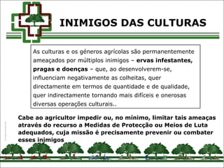 As culturas e os géneros agrícolas são permanentemente
ameaçados por múltiplos inimigos – ervas infestantes,
pragas e doenças – que, ao desenvolverem-se,
influenciam negativamente as colheitas, quer
directamente em termos de quantidade e de qualidade,
quer indirectamente tornando mais difíceis e onerosas
diversas operações culturais..
Cabe ao agricultor impedir ou, no mínimo, limitar tais ameaças
através do recurso a Medidas de Protecção ou Meios de Luta
adequados, cuja missão é precisamente prevenir ou combater
esses inimigos
INIMIGOS DAS CULTURAS
 