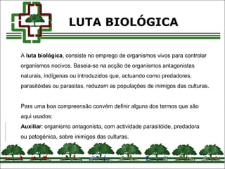 A luta biológica, consiste no emprego de organismos vivos para controlar
organismos nocivos. Baseia-se na acção de organismos antagonistas
naturais, indígenas ou introduzidos que, actuando como predadores,
parasitóides ou parasitas, reduzem as populações de inimigos das culturas.
Para uma boa compreensão convém definir alguns dos termos que são
aqui usados:
Auxiliar: organismo antagonista, com actividade parasitóide, predadora
ou patogénica, sobre inimigos das culturas.
LUTA BIOLÓGICA
 