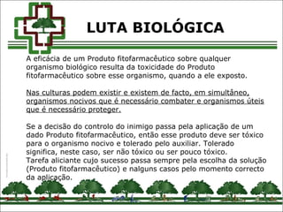 A eficácia de um Produto fitofarmacêutico sobre qualquer
organismo biológico resulta da toxicidade do Produto
fitofarmacêutico sobre esse organismo, quando a ele exposto.
Nas culturas podem existir e existem de facto, em simultâneo,
organismos nocivos que é necessário combater e organismos úteis
que é necessário proteger.
Se a decisão do controlo do inimigo passa pela aplicação de um
dado Produto fitofarmacêutico, então esse produto deve ser tóxico
para o organismo nocivo e tolerado pelo auxiliar. Tolerado
significa, neste caso, ser não tóxico ou ser pouco tóxico.
Tarefa aliciante cujo sucesso passa sempre pela escolha da solução
(Produto fitofarmacêutico) e nalguns casos pelo momento correcto
da aplicação.
LUTA BIOLÓGICA
 