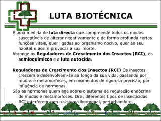 É uma medida de luta directa que compreende todos os modos
susceptíveis de alterar negativamente e de forma profunda certas
funções vitais, quer ligadas ao organismo nocivo, quer ao seu
habitat e assim provocar a sua morte.
Abrange os Reguladores de Crescimento dos Insectos (RCI), os
semioquímicos e a luta autocida.
Reguladores de Crescimento dos Insectos (RCI) Os insectos
crescem e desenvolvem-se ao longo da sua vida, passando por
mudas e metamorfoses, em momentos de rigorosa precisão, por
influência de hormonas.
São as hormonas quem age sobre o sistema de regulação endócrina
de mudas e metamorfoses. Ora, diferentes tipos de insecticidas
RCI interferem com o sistema hormonal, perturbando-o.
LUTA BIOTÉCNICA
 