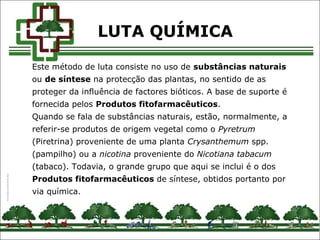 Este método de luta consiste no uso de substâncias naturais
ou de síntese na protecção das plantas, no sentido de as
proteger da influência de factores bióticos. A base de suporte é
fornecida pelos Produtos fitofarmacêuticos.
Quando se fala de substâncias naturais, estão, normalmente, a
referir-se produtos de origem vegetal como o Pyretrum
(Piretrina) proveniente de uma planta Crysanthemum spp.
(pampilho) ou a nicotina proveniente do Nicotiana tabacum
(tabaco). Todavia, o grande grupo que aqui se inclui é o dos
Produtos fitofarmacêuticos de síntese, obtidos portanto por
via química.
LUTA QUÍMICA
 