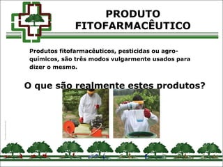 PRODUTO
FITOFARMACÊUTICO
Produtos fitofarmacêuticos, pesticidas ou agro-
químicos, são três modos vulgarmente usados para
dizer o mesmo.
O que são realmente estes produtos?
 