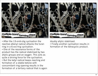 • After the 13-endo-dig cyclisation the
reactive alkenyl radical attacks the furan
ring in a 6-exo-trig cyclisation.
• One of the resonance forms of the
product has the radical stabilised by two
allylic groups and an oxygen. This acts as
quite a driving force for the cyclisation.
• But the ketyl radical keeps reacting and
formation of a stable ketone with
concomitant ring opening results in the
formation of a tertiary radical that is again
doubly allylic stabilised.
• Finally another cyclisation results in
formation of the tetracyclic product.
11
 
