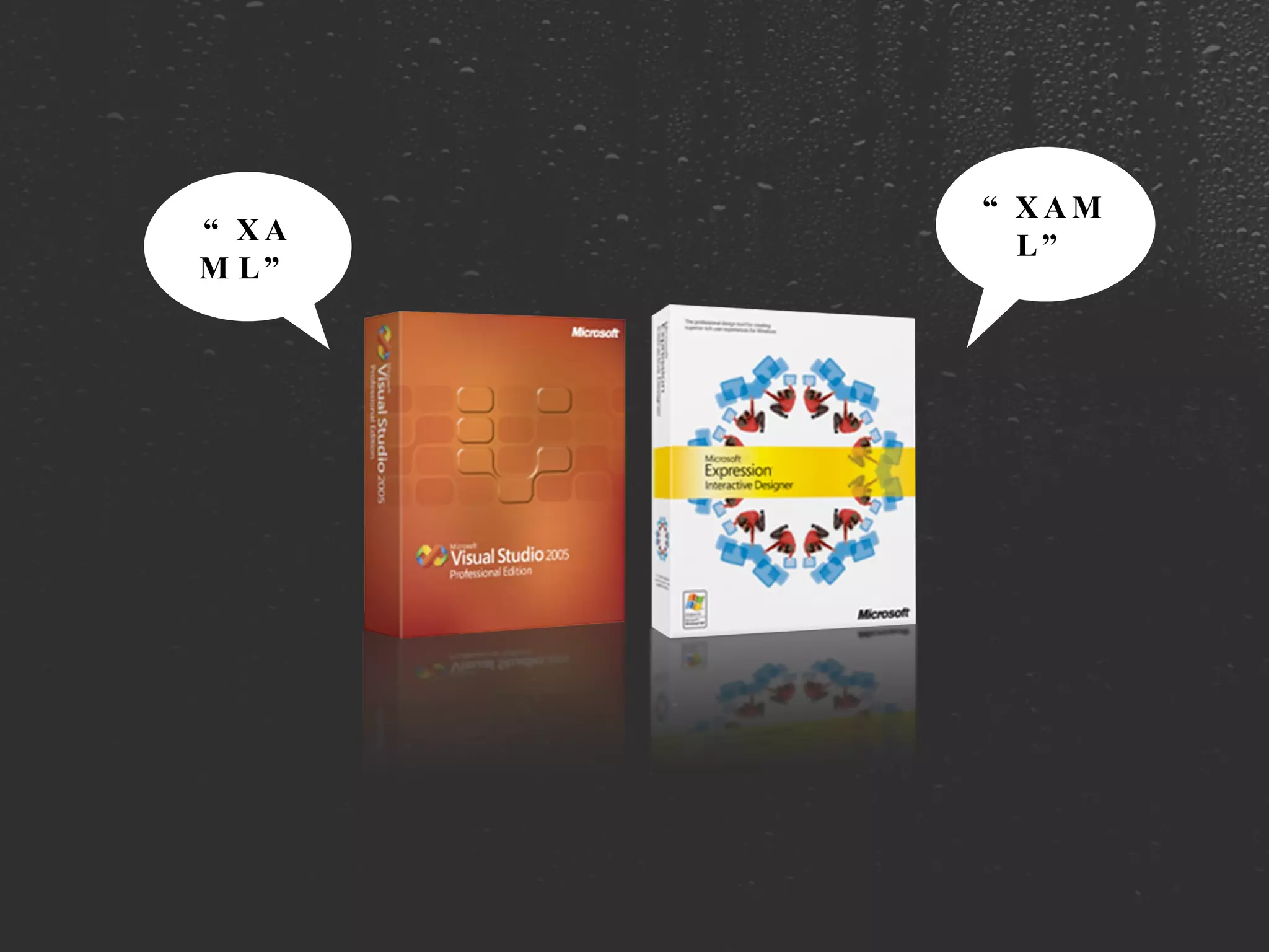 “ XAM   L” “ XAM   L” 