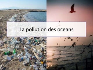 La pollution des oceans
 