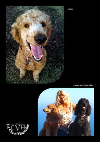 81
1stC
lass Mag
azine
www.cvh1stclass.com
cvh
Chili
Anna with Chili & Max
 