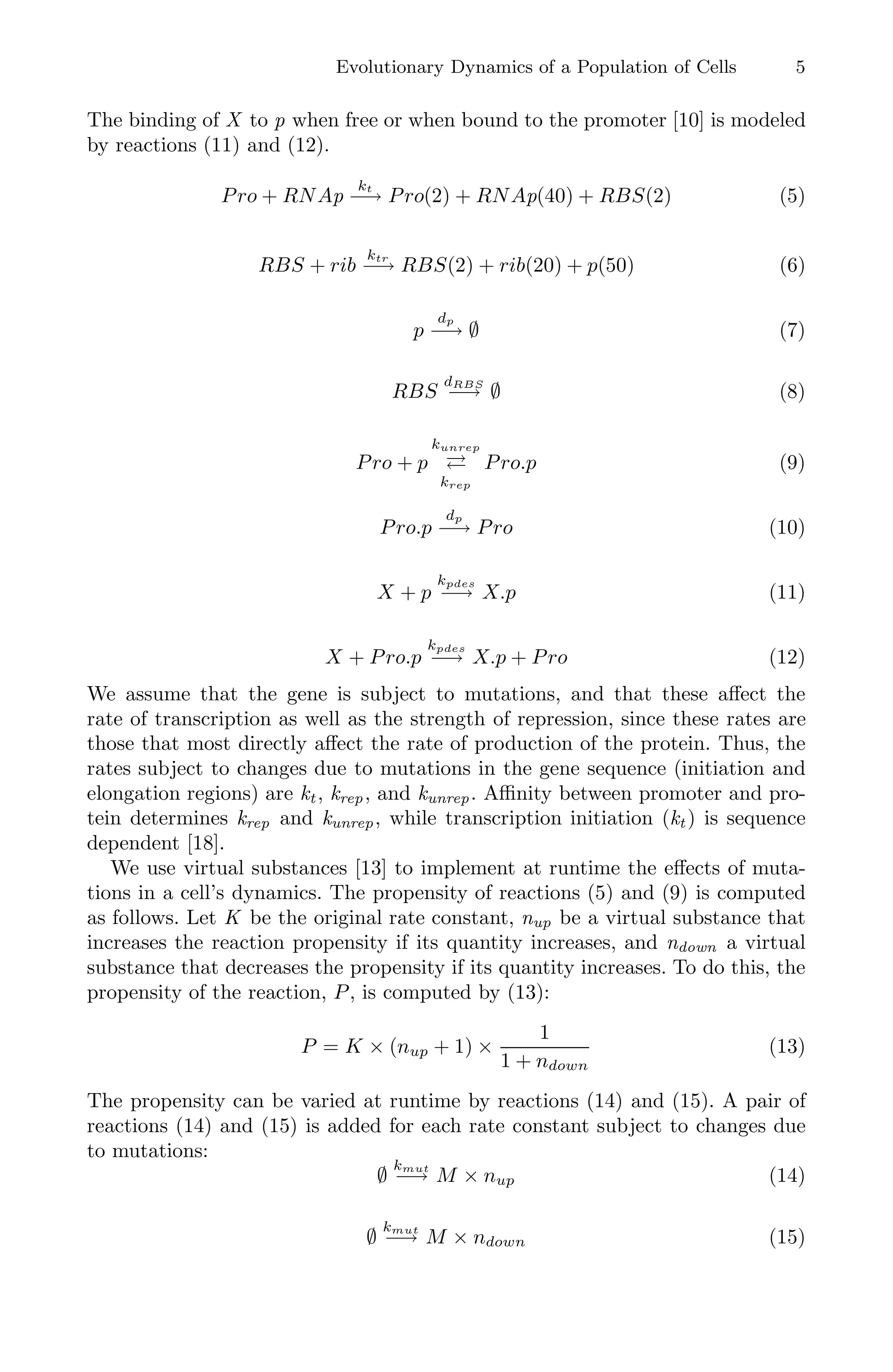 Evolutionary Dynamics of a Population of Cells 5
The binding of X to p when free or when bound to the promoter [10] is modeled
by reactions (11) and (12).
Pro + RNAp
kt
−→ Pro(2) + RNAp(40) + RBS(2) (5)
RBS + rib
ktr
−→ RBS(2) + rib(20) + p(50) (6)
p
dp
−→ ∅ (7)
RBS
dRBS
−→ ∅ (8)
Pro + p
kunrep

krep
Pro.p (9)
Pro.p
dp
−→ Pro (10)
X + p
kpdes
−→ X.p (11)
X + Pro.p
kpdes
−→ X.p + Pro (12)
We assume that the gene is subject to mutations, and that these aﬀect the
rate of transcription as well as the strength of repression, since these rates are
those that most directly aﬀect the rate of production of the protein. Thus, the
rates subject to changes due to mutations in the gene sequence (initiation and
elongation regions) are kt , krep, and kunrep. Aﬃnity between promoter and pro-
tein determines krep and kunrep, while transcription initiation (kt ) is sequence
dependent [18].
We use virtual substances [13] to implement at runtime the eﬀects of muta-
tions in a cell’s dynamics. The propensity of reactions (5) and (9) is computed
as follows. Let K be the original rate constant, nup be a virtual substance that
increases the reaction propensity if its quantity increases, and ndown a virtual
substance that decreases the propensity if its quantity increases. To do this, the
propensity of the reaction, P, is computed by (13):
P = K × (nup + 1) ×
1
1 + ndown
(13)
The propensity can be varied at runtime by reactions (14) and (15). A pair of
reactions (14) and (15) is added for each rate constant subject to changes due
to mutations:
∅
kmut
−→ M × nup (14)
∅
kmut
−→ M × ndown (15)
 