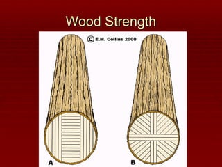 Wood Strength 