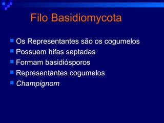 Filo Basidiomycota
 Os Representantes são os cogumelos
 Possuem hifas septadas
 Formam basidiósporos
 Representantes cogumelos
 Champignom
 