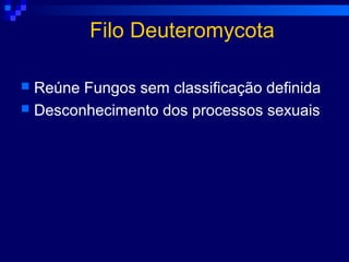 Filo Deuteromycota
 Reúne Fungos sem classificação definida
 Desconhecimento dos processos sexuais
 