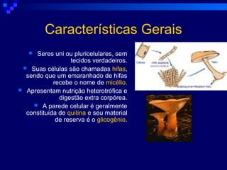 Características Gerais
 Seres uni ou pluricelulares, sem
tecidos verdadeiros.
 Suas células são chamadas hifas,
sendo que um emaranhado de hifas
recebe o nome de micélio.
 Apresentam nutrição heterotrófica e
digestão extra corpórea.
 A parede celular é geralmente
constituída de quitina e seu material
de reserva é o glicogênio.
 