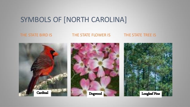 north state 3