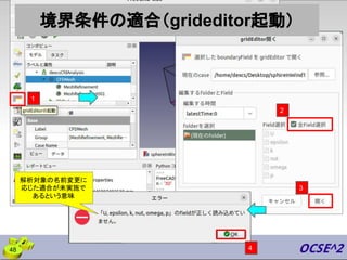 境界条件の適合（grideditor起動）
48
1
3
2
4
解析対象の名前変更に
応じた適合が未実施で
あるという意味
 