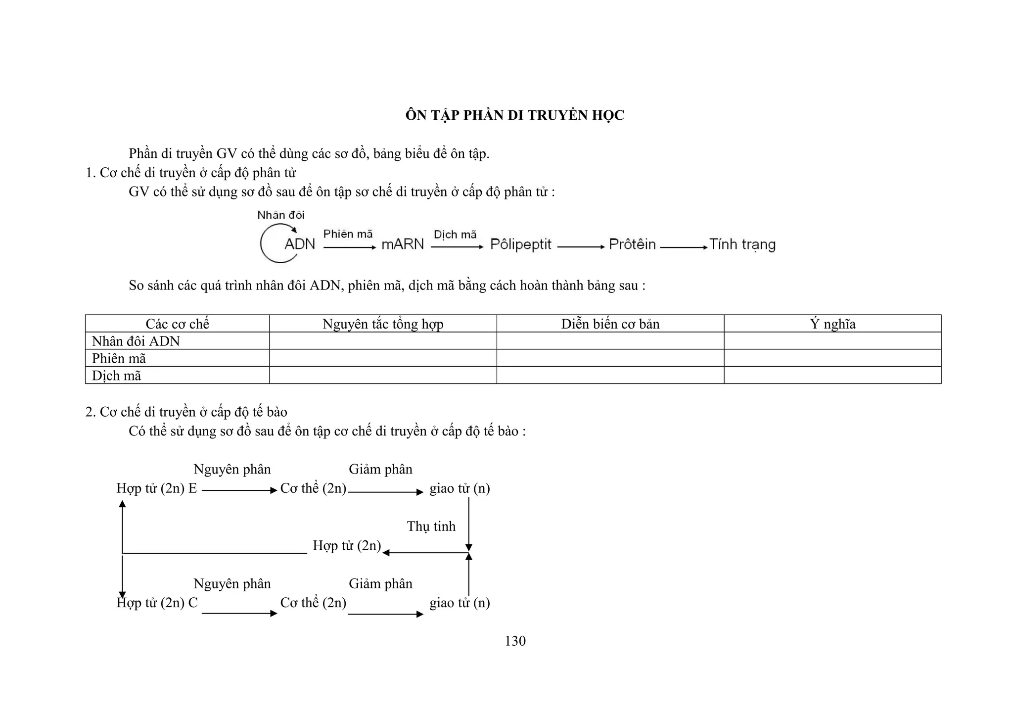 ÔN TẬP PHẦN DI TRUYỀN HỌC
Phần di truyền GV có thể dùng các sơ đồ, bảng biểu để ôn tập.
1. Cơ chế di truyền ở cấp độ phân tử
GV có thể sử dụng sơ đồ sau để ôn tập sơ chế di truyền ở cấp độ phân tử :
So sánh các quá trình nhân đôi ADN, phiên mã, dịch mã bằng cách hoàn thành bảng sau :
Các cơ chế Nguyên tắc tổng hợp Diễn biến cơ bản Ý nghĩa
Nhân đôi ADN
Phiên mã
Dịch mã
2. Cơ chế di truyền ở cấp độ tế bào
Có thể sử dụng sơ đồ sau để ôn tập cơ chế di truyền ở cấp độ tế bào :
Nguyên phân Giảm phân
Hợp tử (2n) E Cơ thể (2n) giao tử (n)
Thụ tinh
Hợp tử (2n)
Nguyên phân Giảm phân
Hợp tử (2n) C Cơ thể (2n) giao tử (n)
130
 