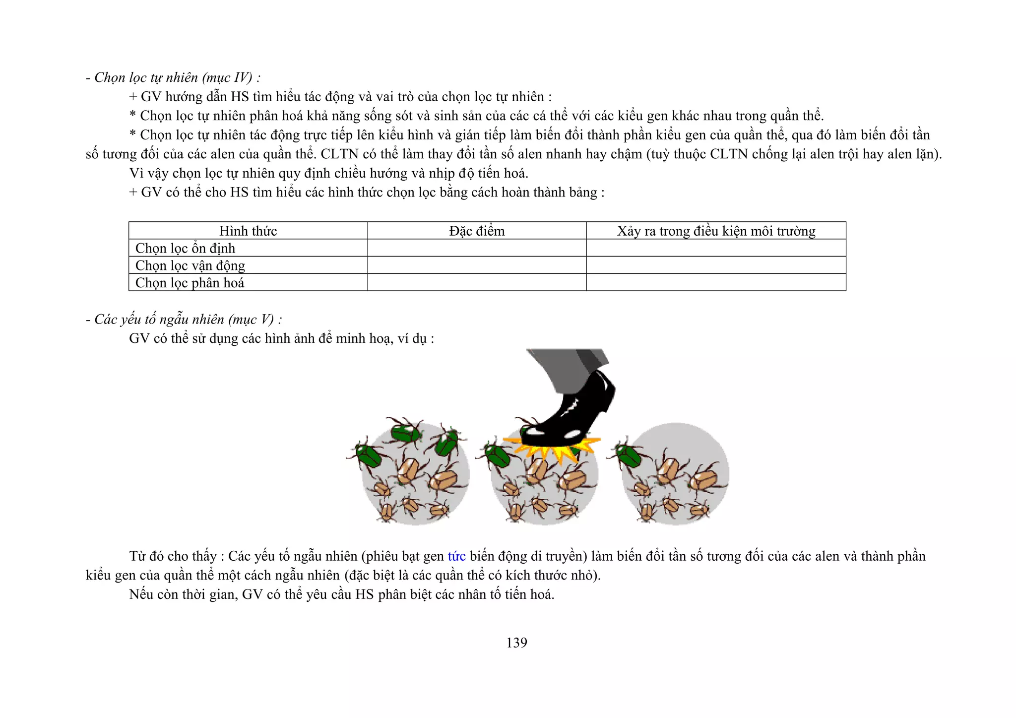 - Chọn lọc tự nhiên (mục IV) :
+ GV hướng dẫn HS tìm hiểu tác động và vai trò của chọn lọc tự nhiên :
* Chọn lọc tự nhiên phân hoá khả năng sống sót và sinh sản của các cá thể với các kiểu gen khác nhau trong quần thể.
* Chọn lọc tự nhiên tác động trực tiếp lên kiểu hình và gián tiếp làm biến đổi thành phần kiểu gen của quần thể, qua đó làm biến đổi tần
số tương đối của các alen của quần thể. CLTN có thể làm thay đổi tần số alen nhanh hay chậm (tuỳ thuộc CLTN chống lại alen trội hay alen lặn).
Vì vậy chọn lọc tự nhiên quy định chiều hướng và nhịp độ tiến hoá.
+ GV có thể cho HS tìm hiểu các hình thức chọn lọc bằng cách hoàn thành bảng :
Hình thức Đặc điểm Xảy ra trong điều kiện môi trường
Chọn lọc ổn định
Chọn lọc vận động
Chọn lọc phân hoá
- Các yếu tố ngẫu nhiên (mục V) :
GV có thể sử dụng các hình ảnh để minh hoạ, ví dụ :
Từ đó cho thấy : Các yếu tố ngẫu nhiên (phiêu bạt gen tức biến động di truyền) làm biến đổi tần số tương đối của các alen và thành phần
kiểu gen của quần thể một cách ngẫu nhiên (đặc biệt là các quần thể có kích thước nhỏ).
Nếu còn thời gian, GV có thể yêu cầu HS phân biệt các nhân tố tiến hoá.
139
 