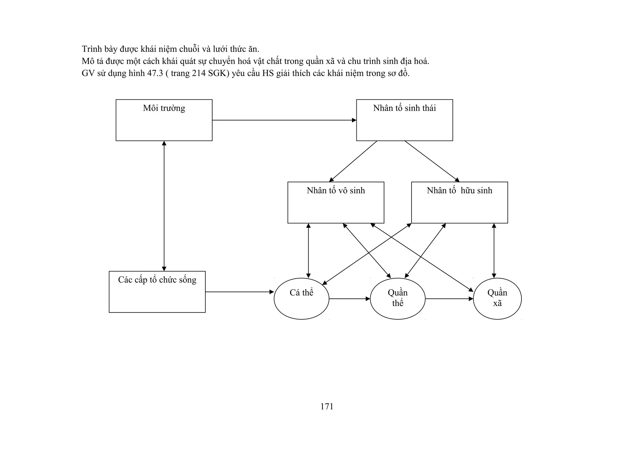 Trình bày được khái niệm chuỗi và lưới thức ăn.
Mô tả được một cách khái quát sự chuyển hoá vật chất trong quần xã và chu trình sinh địa hoá.
GV sử dụng hình 47.3 ( trang 214 SGK) yêu cầu HS giải thích các khái niệm trong sơ đồ.
171
Quần
thể
Cá thể Quần
xã
Môi trường
Các cấp tổ chức sống
Nhân tố hữu sinhNhân tố vô sinh
Nhân tố sinh thái
 