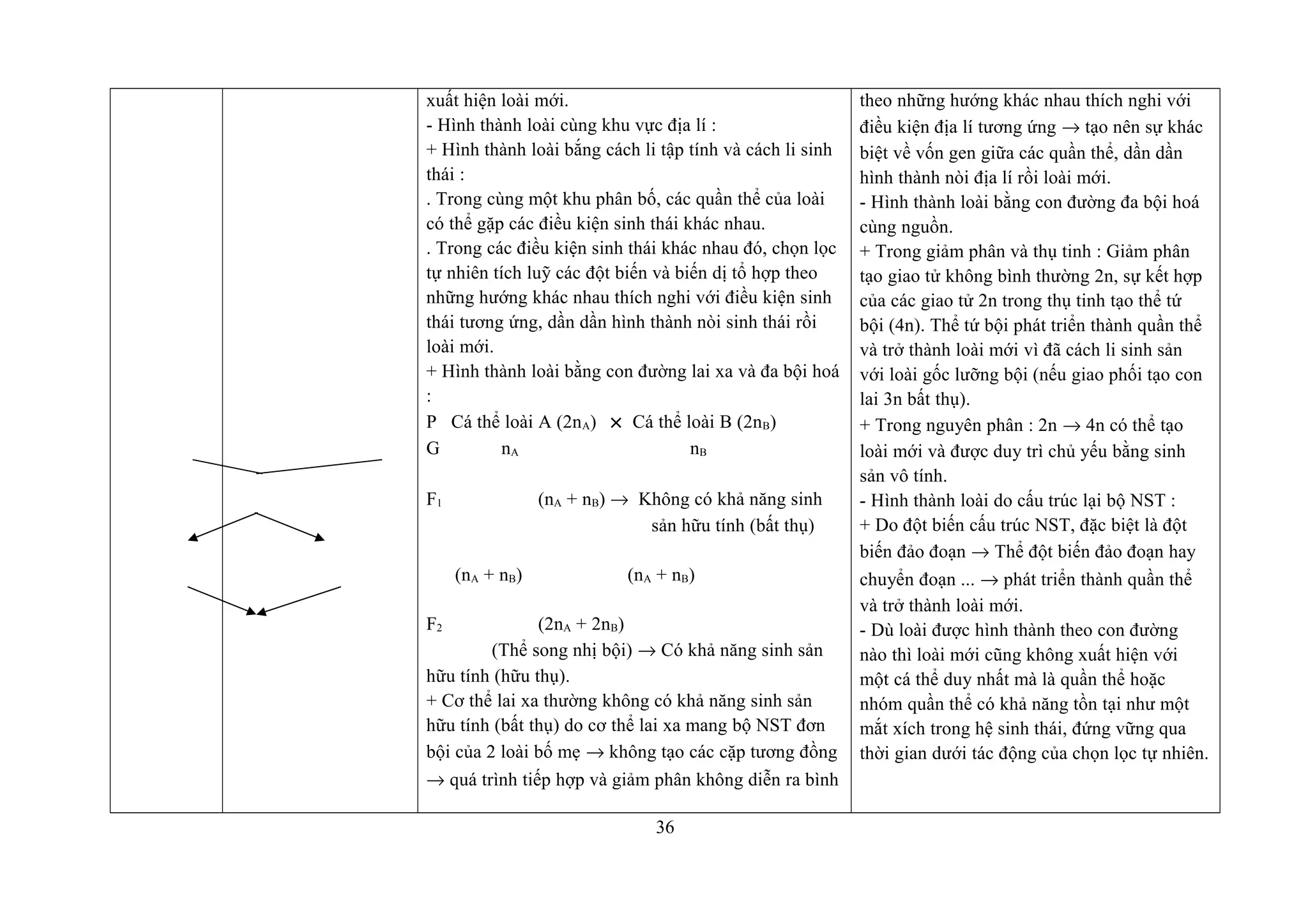 xuất hiện loài mới.
- Hình thành loài cùng khu vực địa lí :
+ Hình thành loài bắng cách li tập tính và cách li sinh
thái :
. Trong cùng một khu phân bố, các quần thể của loài
có thể gặp các điều kiện sinh thái khác nhau.
. Trong các điều kiện sinh thái khác nhau đó, chọn lọc
tự nhiên tích luỹ các đột biến và biến dị tổ hợp theo
những hướng khác nhau thích nghi với điều kiện sinh
thái tương ứng, dần dần hình thành nòi sinh thái rồi
loài mới.
+ Hình thành loài bằng con đường lai xa và đa bội hoá
:
P Cá thể loài A (2nA) × Cá thể loài B (2nB)
G nA nB
F1 (nA + nB) → Không có khả năng sinh
sản hữu tính (bất thụ)
(nA + nB) (nA + nB)
F2 (2nA + 2nB)
(Thể song nhị bội) → Có khả năng sinh sản
hữu tính (hữu thụ).
+ Cơ thể lai xa thường không có khả năng sinh sản
hữu tính (bất thụ) do cơ thể lai xa mang bộ NST đơn
bội của 2 loài bố mẹ → không tạo các cặp tương đồng
→ quá trình tiếp hợp và giảm phân không diễn ra bình
theo những hướng khác nhau thích nghi với
điều kiện địa lí tương ứng → tạo nên sự khác
biệt về vốn gen giữa các quần thể, dần dần
hình thành nòi địa lí rồi loài mới.
- Hình thành loài bằng con đường đa bội hoá
cùng nguồn.
+ Trong giảm phân và thụ tinh : Giảm phân
tạo giao tử không bình thường 2n, sự kết hợp
của các giao tử 2n trong thụ tinh tạo thể tứ
bội (4n). Thể tứ bội phát triển thành quần thể
và trở thành loài mới vì đã cách li sinh sản
với loài gốc lưỡng bội (nếu giao phối tạo con
lai 3n bất thụ).
+ Trong nguyên phân : 2n → 4n có thể tạo
loài mới và được duy trì chủ yếu bằng sinh
sản vô tính.
- Hình thành loài do cấu trúc lại bộ NST :
+ Do đột biến cấu trúc NST, đặc biệt là đột
biến đảo đoạn → Thể đột biến đảo đoạn hay
chuyển đoạn ... → phát triển thành quần thể
và trở thành loài mới.
- Dù loài được hình thành theo con đường
nào thì loài mới cũng không xuất hiện với
một cá thể duy nhất mà là quần thể hoặc
nhóm quần thể có khả năng tồn tại như một
mắt xích trong hệ sinh thái, đứng vững qua
thời gian dưới tác động của chọn lọc tự nhiên.
36
 