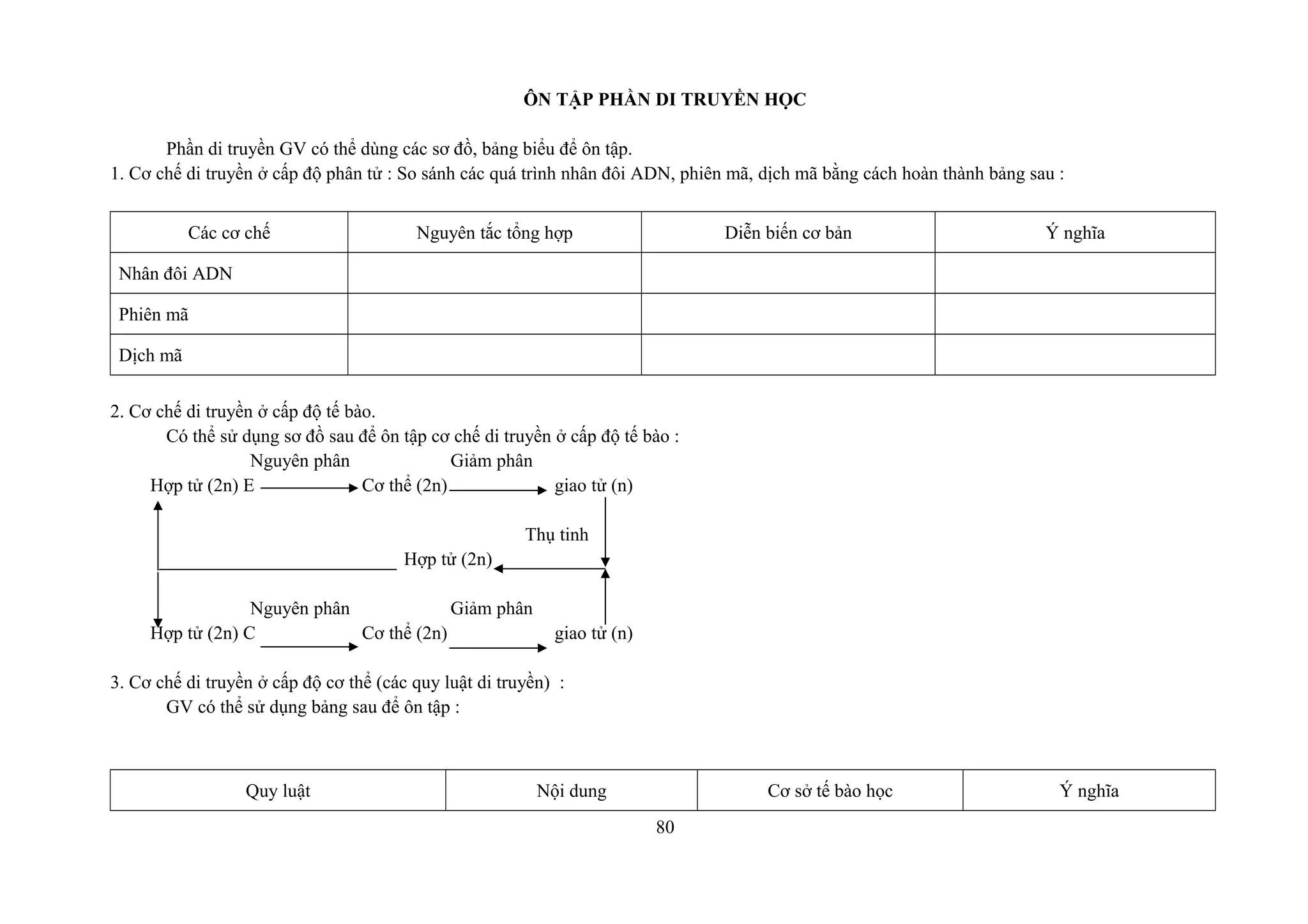 ÔN TẬP PHẦN DI TRUYỀN HỌC
Phần di truyền GV có thể dùng các sơ đồ, bảng biểu để ôn tập.
1. Cơ chế di truyền ở cấp độ phân tử : So sánh các quá trình nhân đôi ADN, phiên mã, dịch mã bằng cách hoàn thành bảng sau :
Các cơ chế Nguyên tắc tổng hợp Diễn biến cơ bản Ý nghĩa
Nhân đôi ADN
Phiên mã
Dịch mã
2. Cơ chế di truyền ở cấp độ tế bào.
Có thể sử dụng sơ đồ sau để ôn tập cơ chế di truyền ở cấp độ tế bào :
Nguyên phân Giảm phân
Hợp tử (2n) E Cơ thể (2n) giao tử (n)
Thụ tinh
Hợp tử (2n)
Nguyên phân Giảm phân
Hợp tử (2n) C Cơ thể (2n) giao tử (n)
3. Cơ chế di truyền ở cấp độ cơ thể (các quy luật di truyền) :
GV có thể sử dụng bảng sau để ôn tập :
Quy luật Nội dung Cơ sở tế bào học Ý nghĩa
80
 