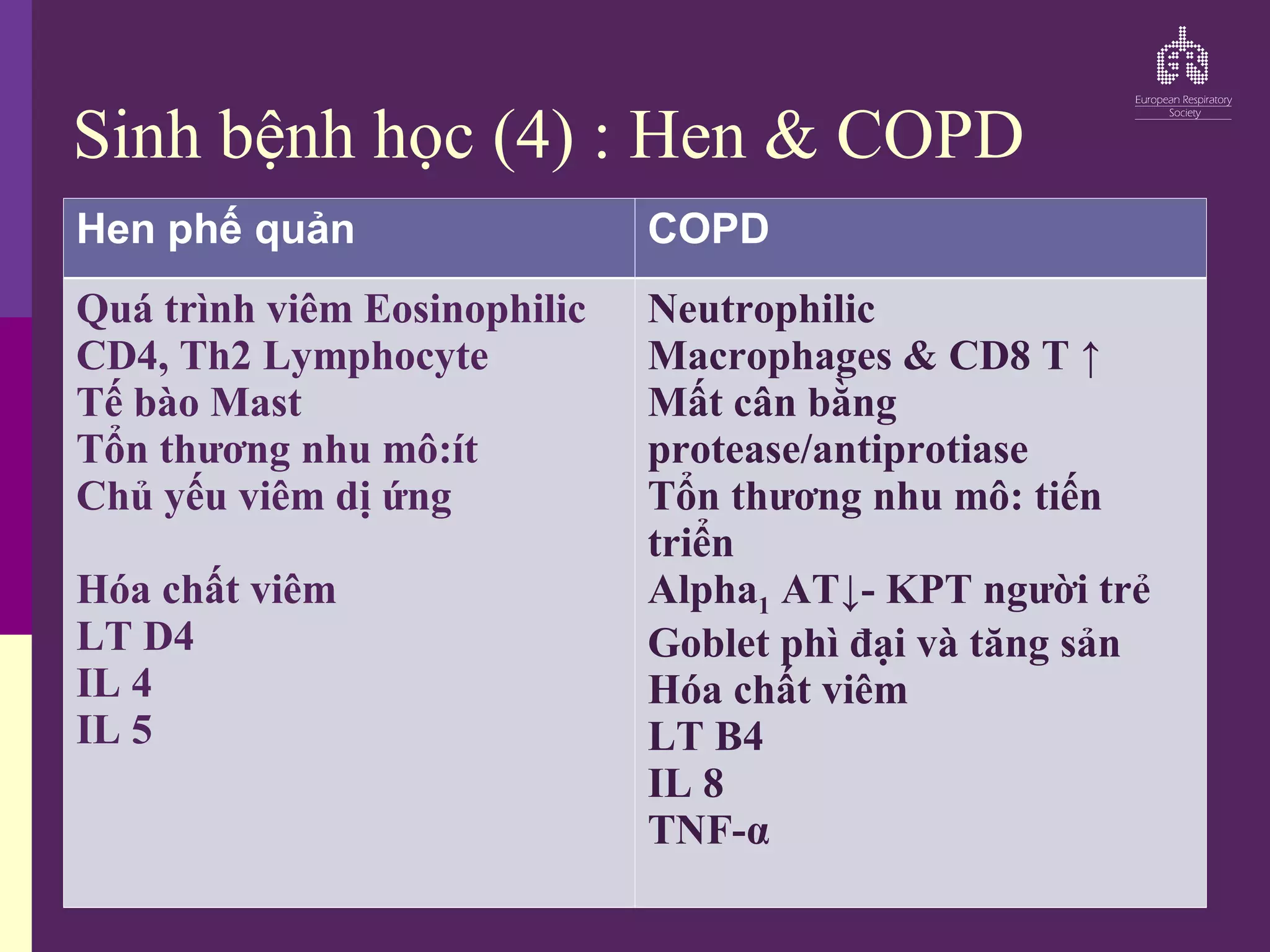 Hen phế quản COPD
Quá trình viêm Eosinophilic
CD4, Th2 Lymphocyte
Tế bào Mast
Tổn thương nhu mô:ít
Chủ yếu viêm dị ứng
Hóa chất viêm
LT D4
IL 4
IL 5
Neutrophilic
Macrophages & CD8 T ↑
Mất cân bằng
protease/antiprotiase
Tổn thương nhu mô: tiến
triển
Alpha1 AT↓- KPT người trẻ
Goblet phì đại và tăng sản
Hóa chất viêm
LT B4
IL 8
TNF-α
Sinh bệnh học (4) : Hen & COPD
 