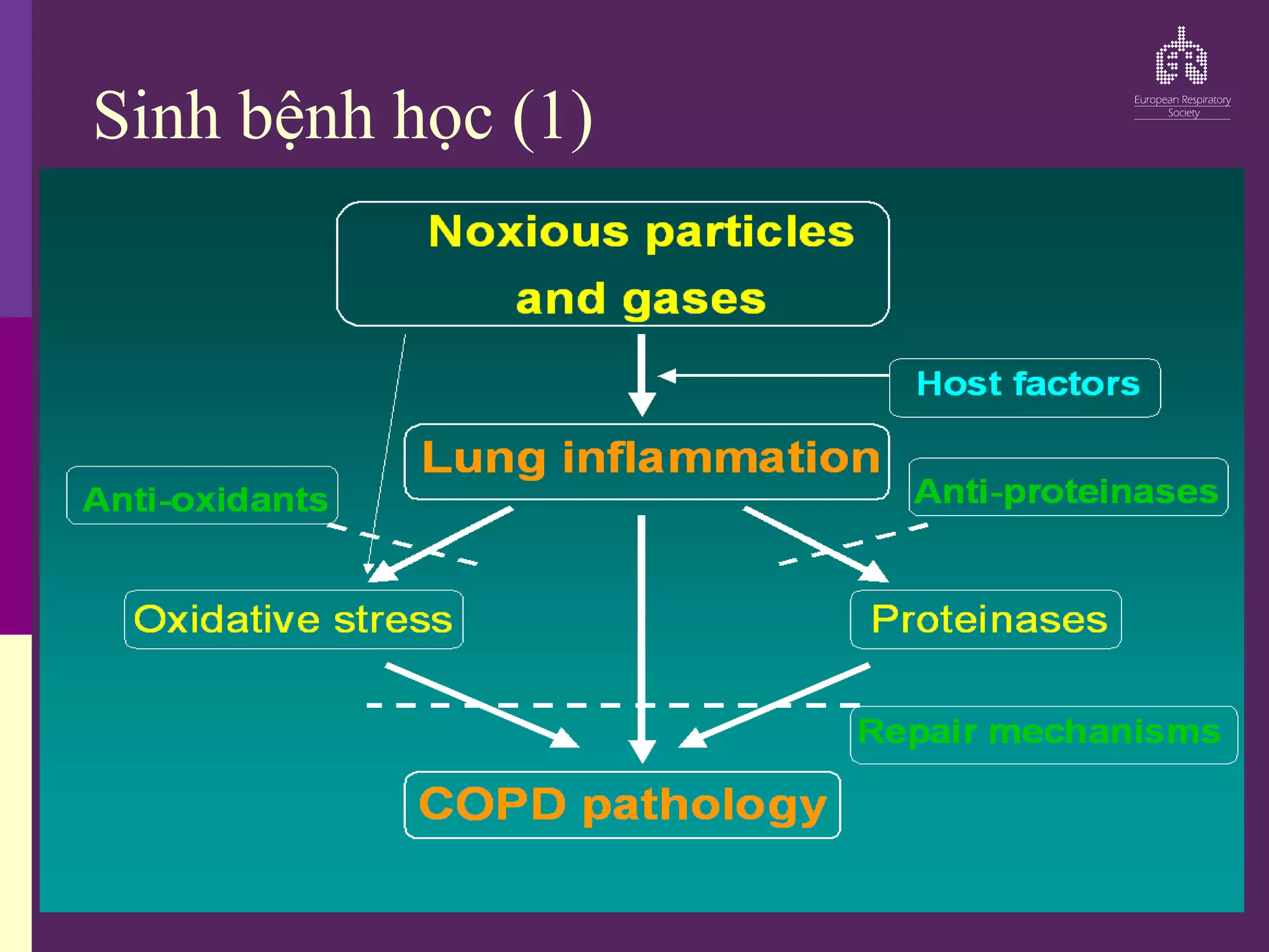 Sinh bệnh học (1)
 