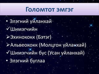 Голомтот эмгэг
• Элэгний уйланхай
Шимэгчийн
Эхинококк (Бэтэг)
Альвеококк (Молцгон уйланхай)
Шимэгчийн бус (Усан уйланхай)
• Элэгний буглаа
 