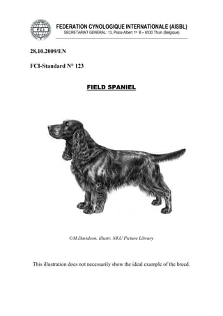 FEDERATION CYNOLOGIQUE INTERNATIONALE (AISBL)
SECRETARIAT GENERAL: 13, Place Albert 1er B – 6530 Thuin (Belgique)
______________________________________________________________________________
28.10.2009/EN
FCI-Standard N° 123
FIELD SPANIEL
©M.Davidson, illustr. NKU Picture Library
This illustration does not necessarily show the ideal example of the breed.
 